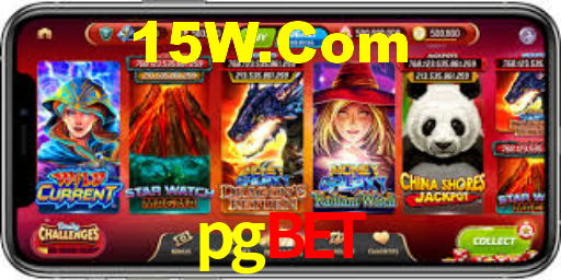 Premium Interface pgbet